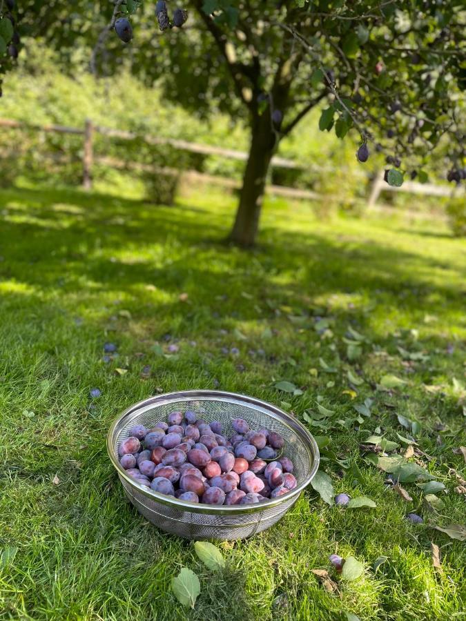 Klimatyczny Dom Kopaczowka Przytulna Miejscowka Z Kominkiem, Sauna I Ogrodem U Podnoza Gor Stolowych Radkow Kültér fotó